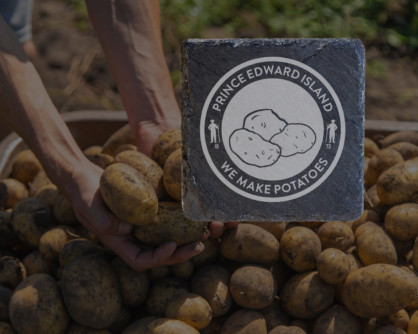 Prince Edward Island: We Make Potatoes Slate Coaster
